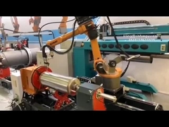 GSK palletiseren (2)